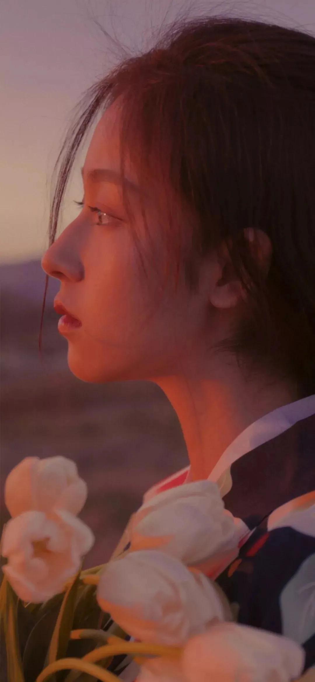 最新款蘋果手機(jī)，時(shí)代標(biāo)桿與科技創(chuàng)新之巔