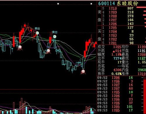 探索自然魔力與股市行情，600114股票與遠(yuǎn)離塵囂的旅行揭秘