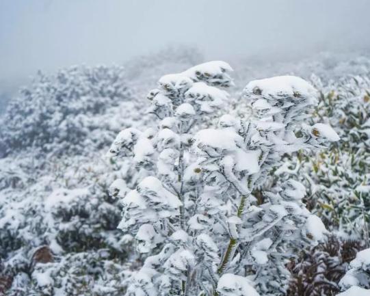 朝晨最新，探尋自然美景的旅程