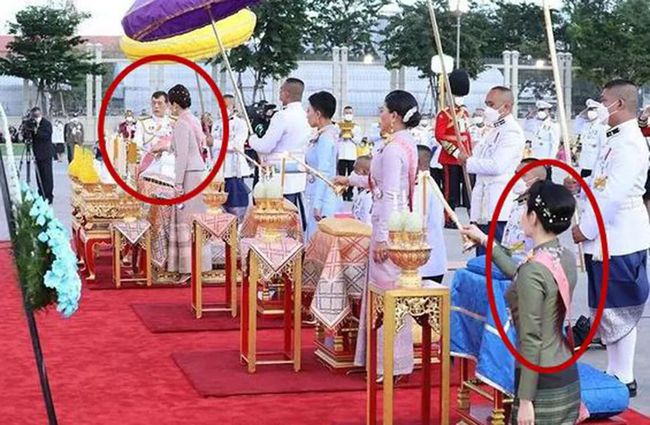 王室最新動(dòng)態(tài)及步驟指南概述