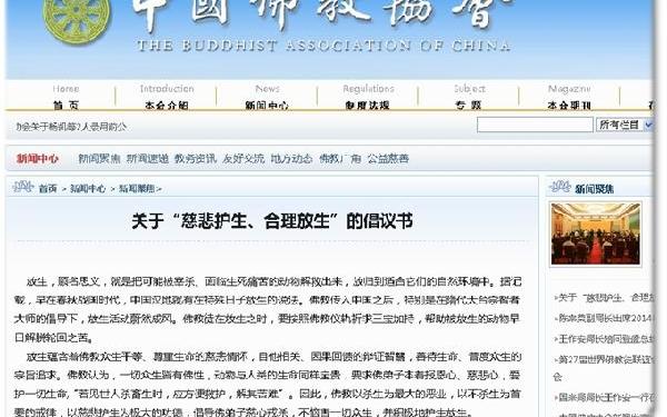 佛冷資訊精選，最新動態(tài)與解讀?