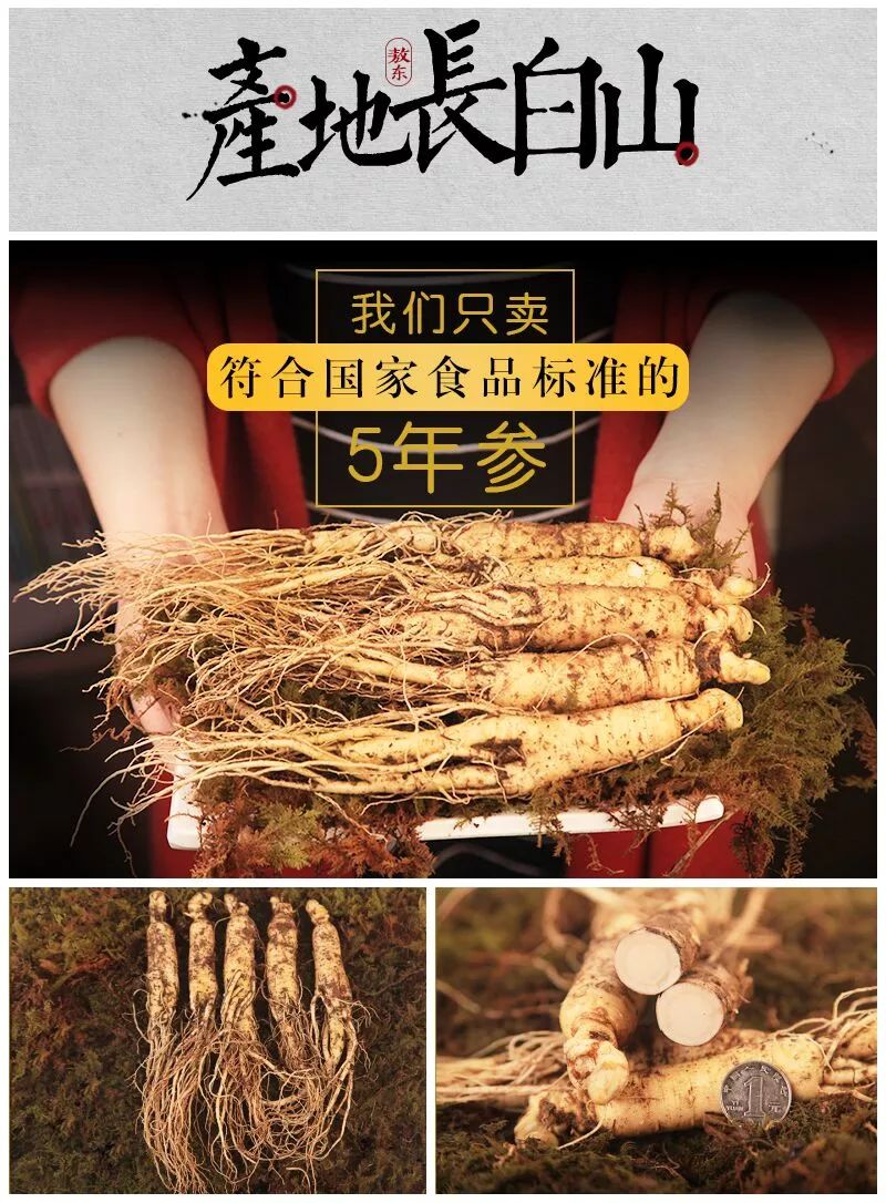 探尋鮮人參價(jià)格，自然之旅與內(nèi)心寧靜的交融