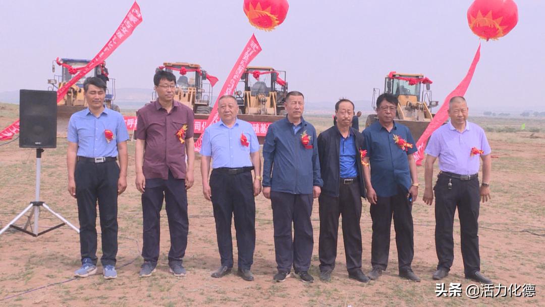 內(nèi)蒙驢價(jià)格行情深度解析與趨勢(shì)分析