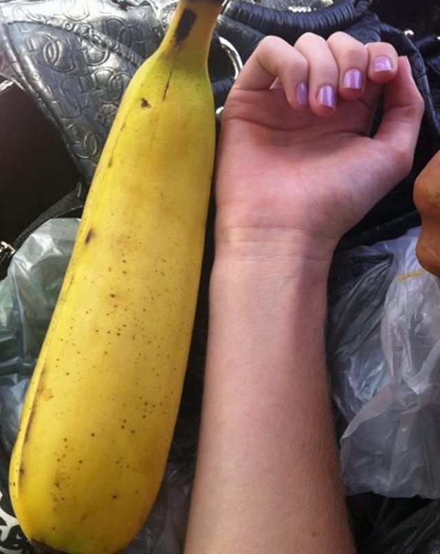 大香蕉最新觀點闡述