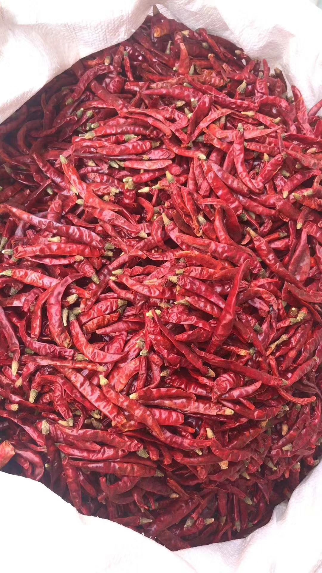 河南干辣椒市場價格走勢及指南