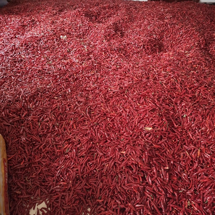 河南干辣椒市場價格走勢及指南