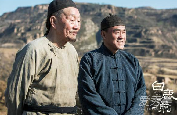 白鹿原電影版演員解析與角色表現(xiàn)探討