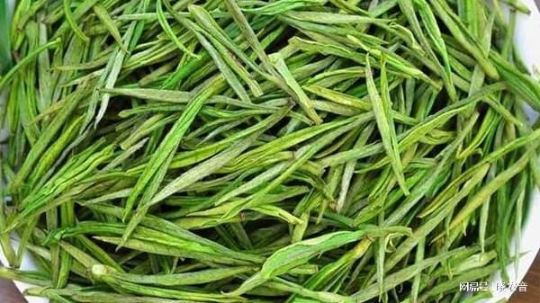 白茶新茶上市時間及解析