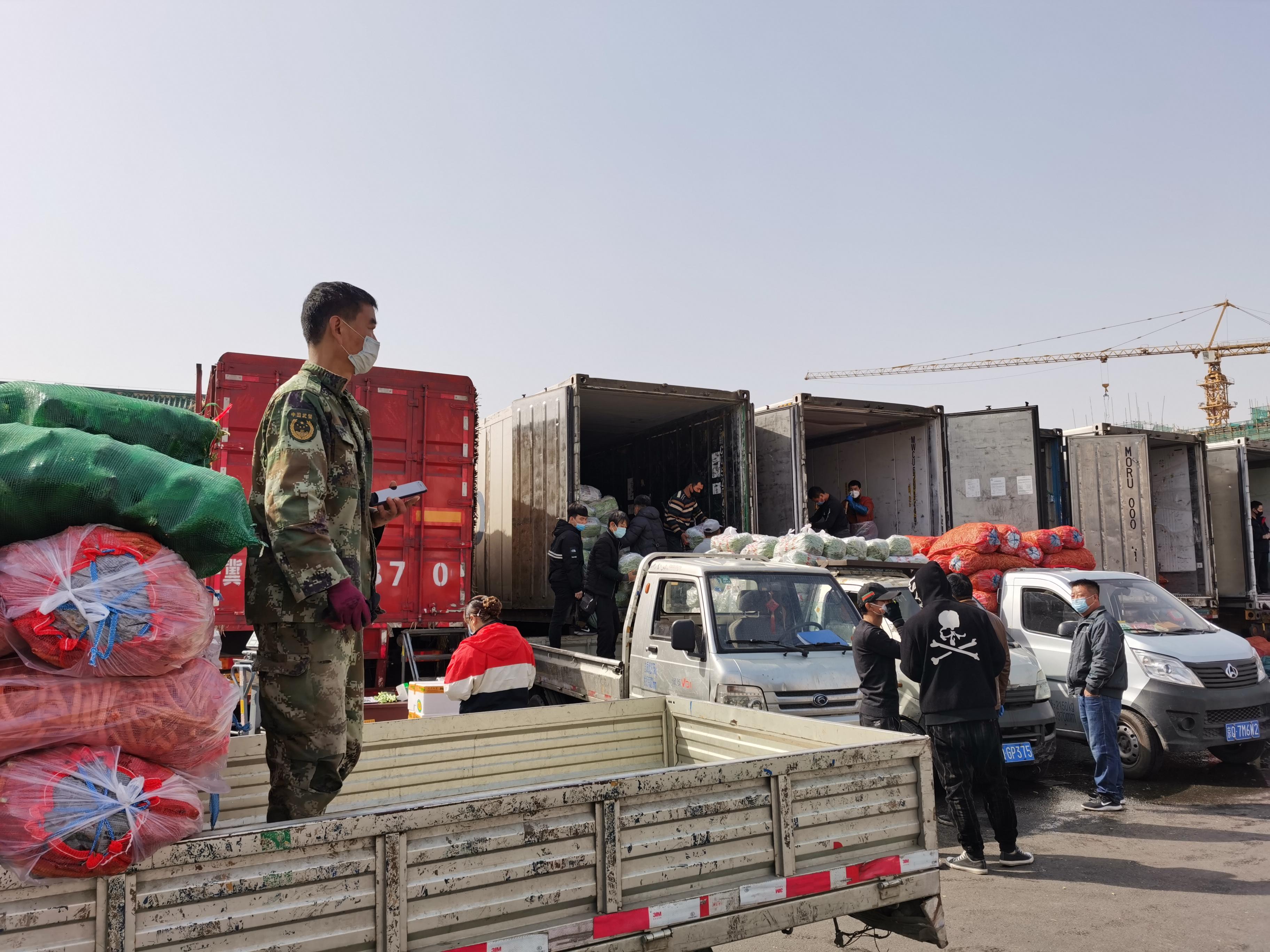 新發(fā)地蔬菜價(jià)格行情動(dòng)態(tài)更新報(bào)告