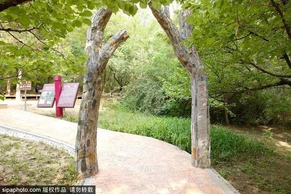 探索魅力白河縣的無(wú)限精彩資訊