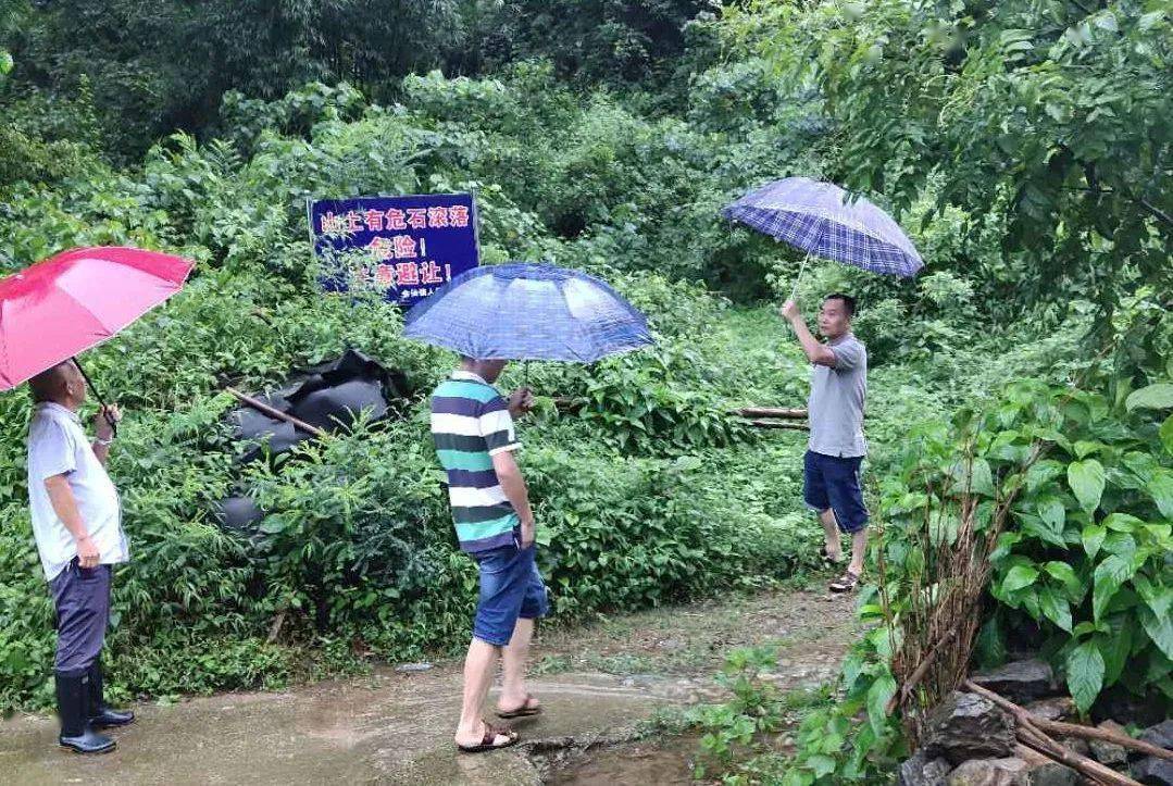 文全村最新動態(tài)概覽