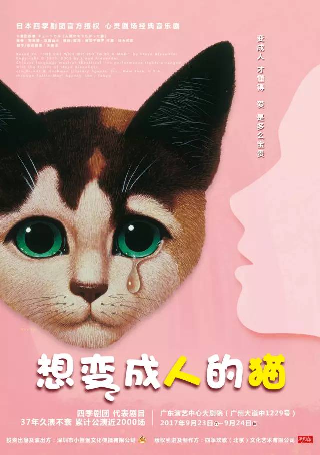 貓的孩子演員表——小巷深處的星光璀璨陣容