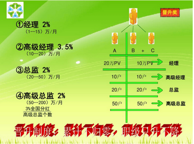蘇州綠葉最新獎金分配方案及其溫馨獎金故事揭秘