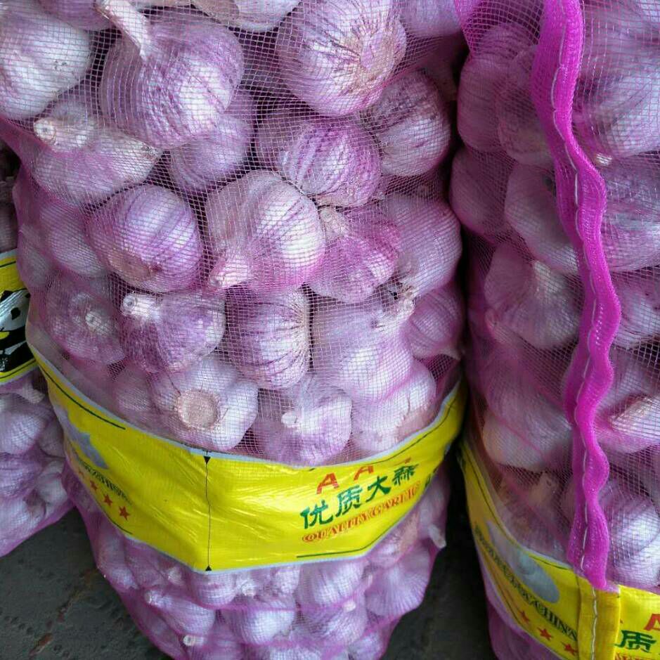 山東金鄉(xiāng)大蒜今日行情深度分析與觀點(diǎn)闡述