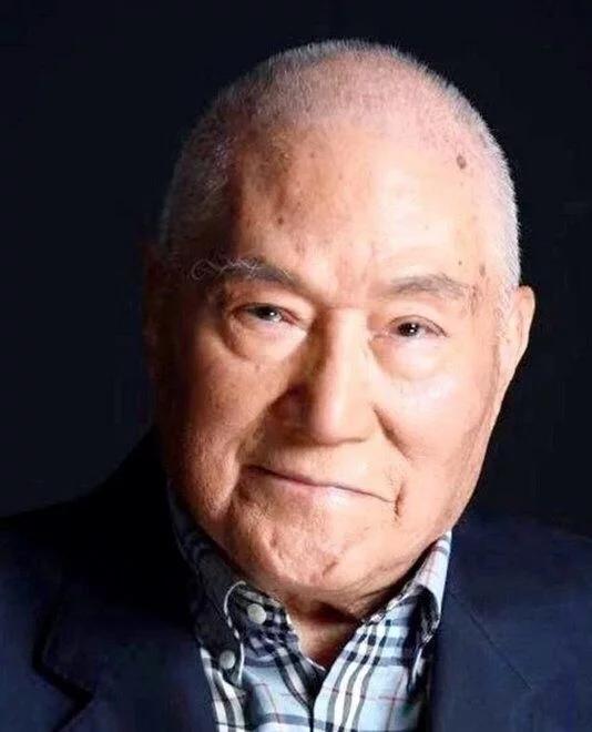 李衛(wèi)當官演員，演技與角色深度解讀及陣容盤點