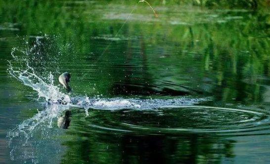 最新調(diào)漂教程在線學(xué)習(xí)步驟詳解與指南