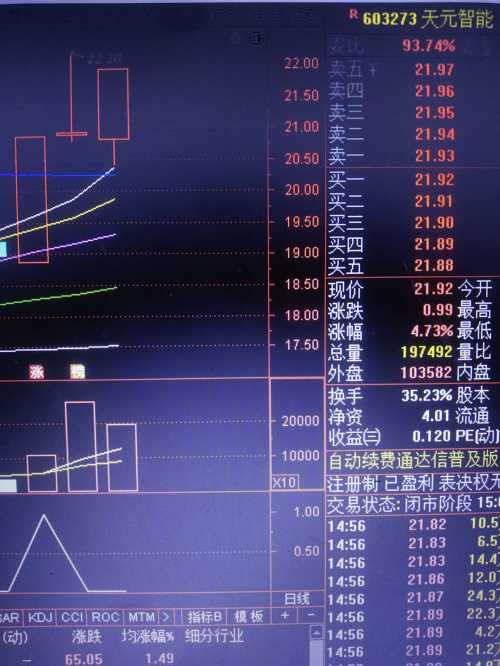 天辰智能股票行情深度分析與展望