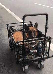 最新地震動態(tài)及觀點論述