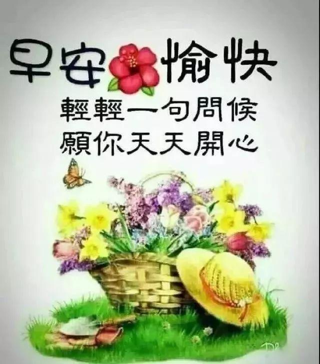 微信最新版更新指南及詳細(xì)步驟介紹