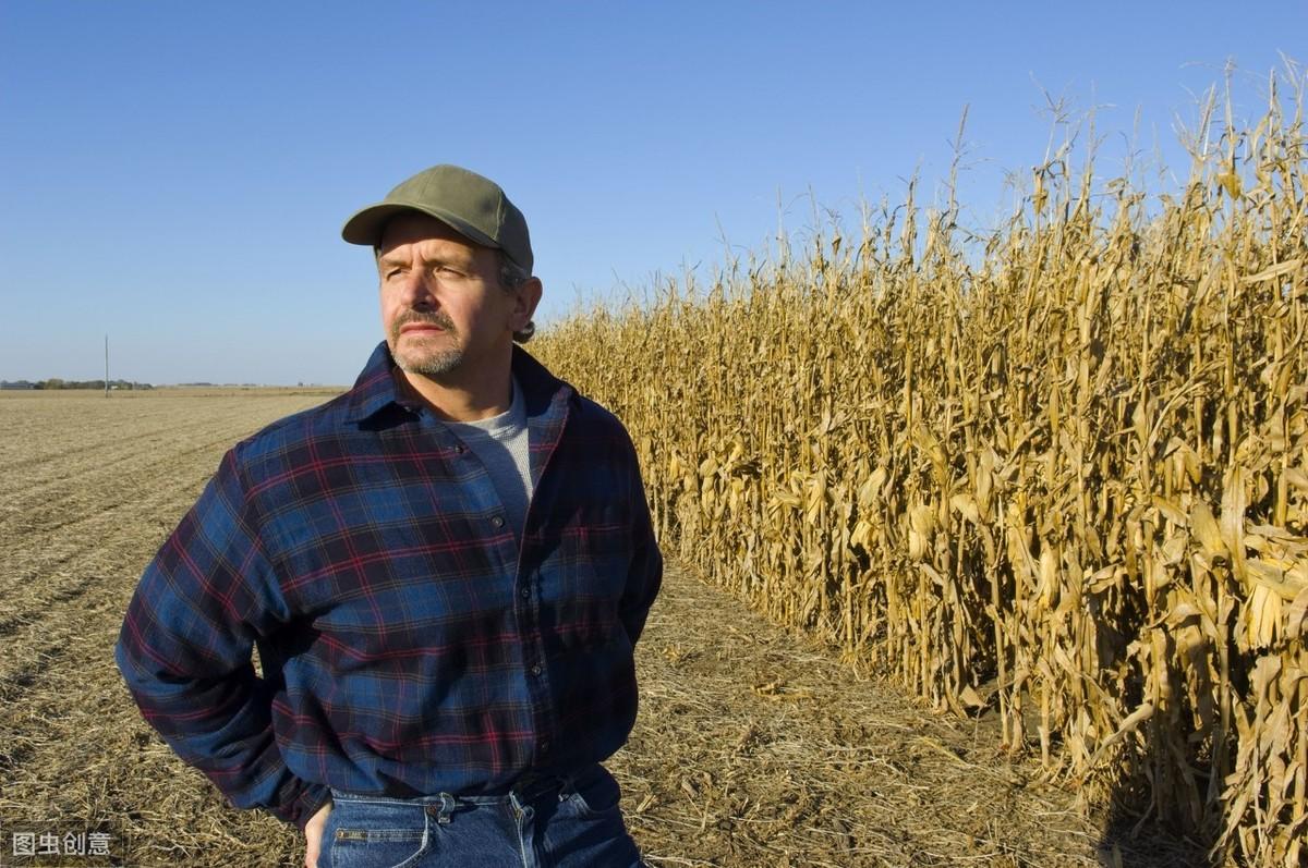 期貨行情預(yù)期與家的溫馨對(duì)比