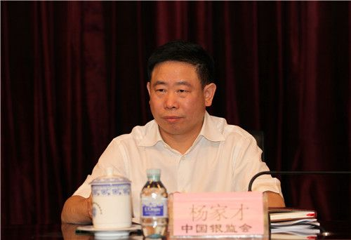 銀監(jiān)會(huì)楊家才的最新動(dòng)態(tài)與日常故事概述