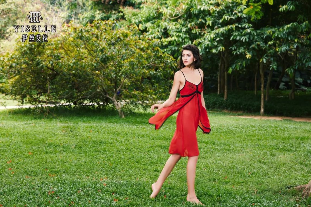 最新伊絲精彩圖片，智能科技重塑生活，前所未有的智能體驗(yàn)