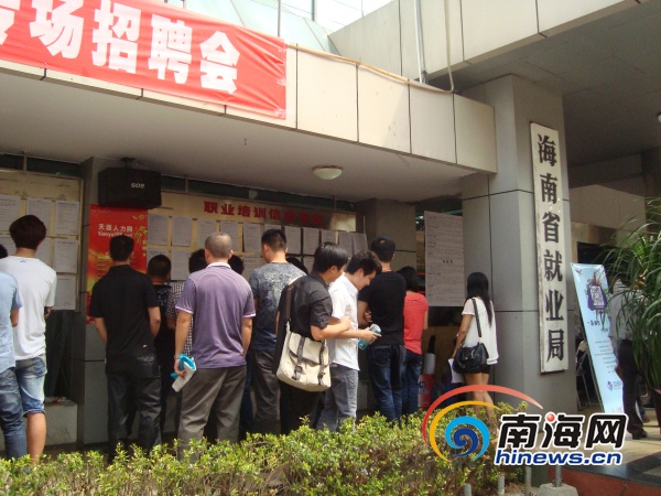 洋浦最新招聘步驟指南及招聘信息匯總