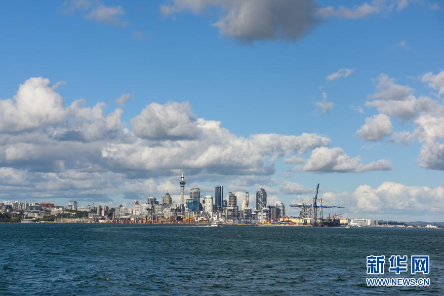 新西蘭最新消息,新西蘭最新消息概覽