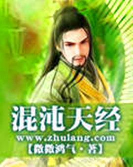 混沌天經(jīng)最新章節(jié)深度解析與觀點闡述