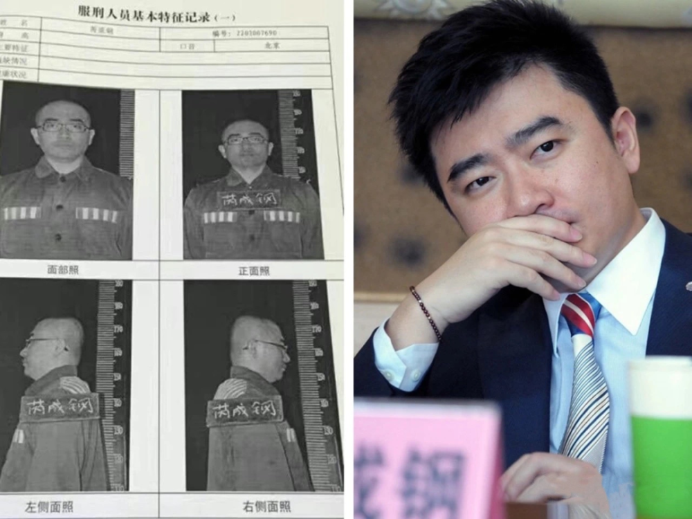 芮成鋼最新動態(tài)更新