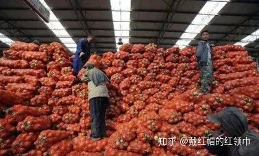 最新農(nóng)產(chǎn)品滯銷信息深度解析與探討