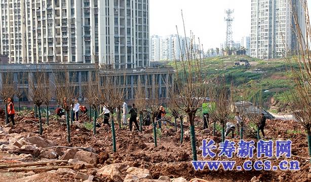 長(zhǎng)壽區(qū)晏家街道最新發(fā)展規(guī)劃概述