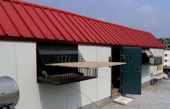 最新鴿舍設(shè)計(jì)圖片大全，探索自然美景，尋找內(nèi)心平和與喜悅的旅程