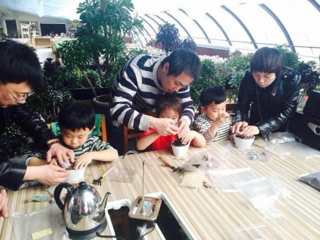 最新農(nóng)場游戲,最新農(nóng)場游戲,體驗田園生活的數(shù)字革命