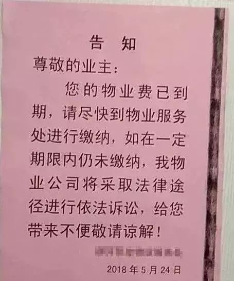 最新物業(yè)法下的小巷風情小店探秘