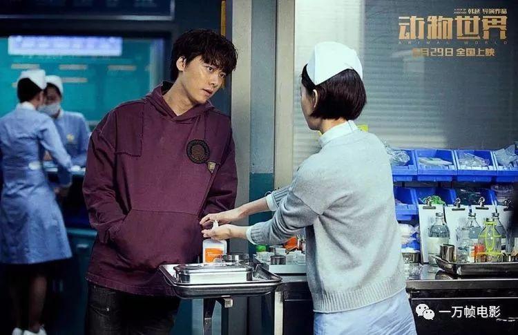 最新小丑天賦論述揭秘