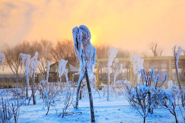 媚嬌最新版高科技產(chǎn)品介紹