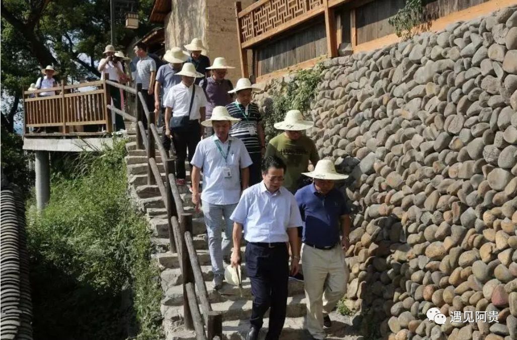 麗水葛學(xué)斌最新消息解讀與獲取指南