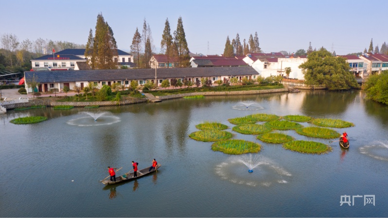 湖州市菱湖鎮(zhèn)最新新聞?wù)撌龈庞[