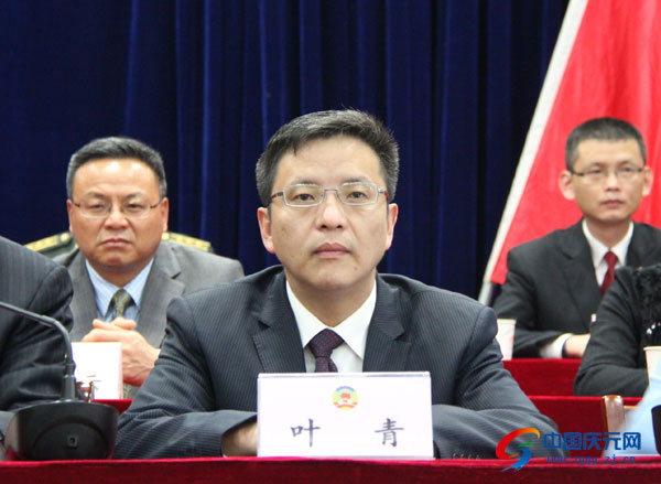 慶元縣長葉青最新任職及其多維度影響分析