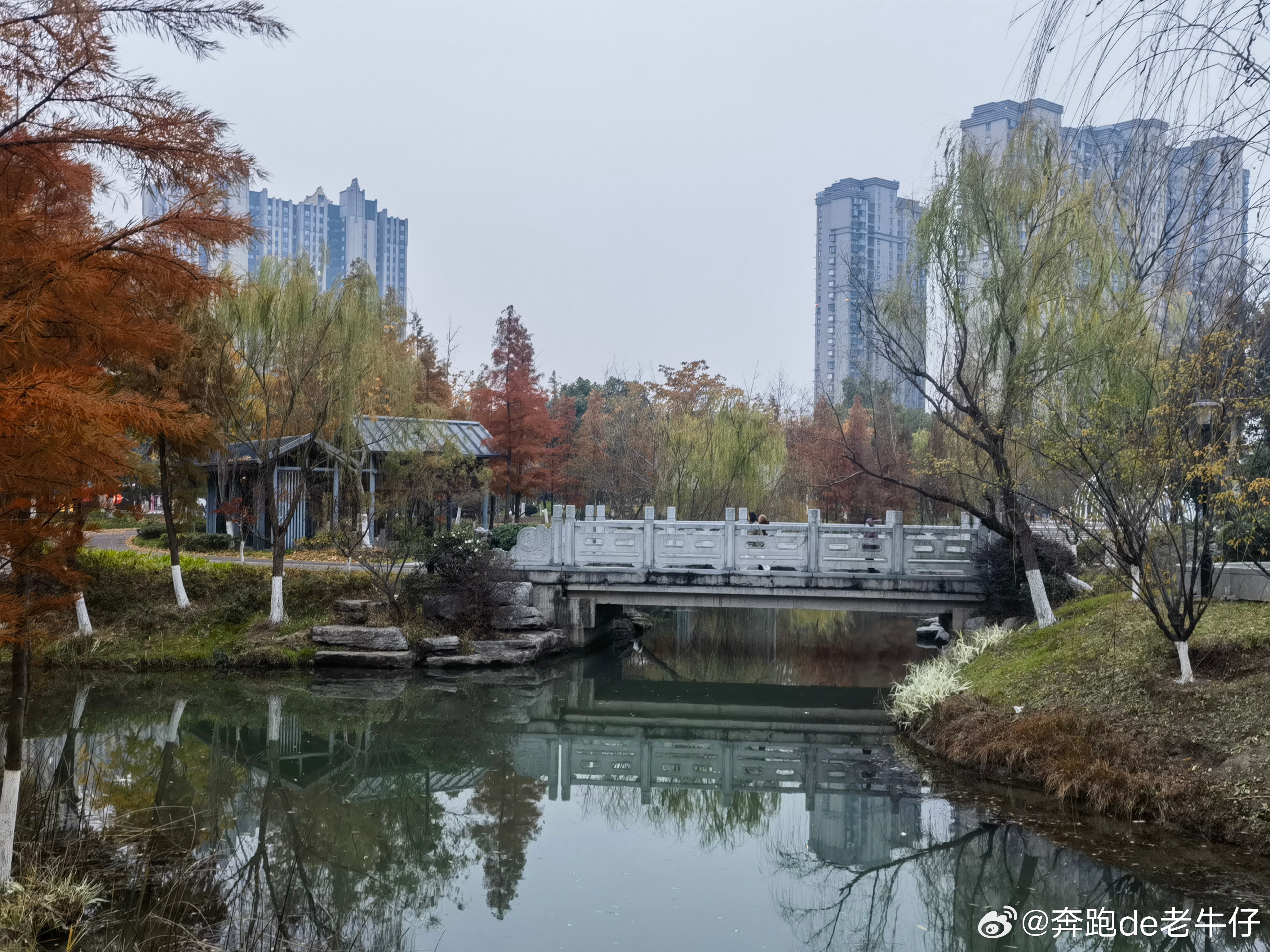 南通新橋公園最新動(dòng)態(tài)更新???