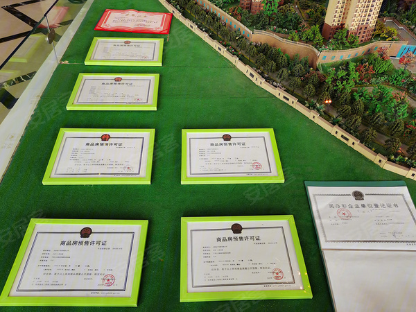 平頂山永基九里最新進展解析與概述