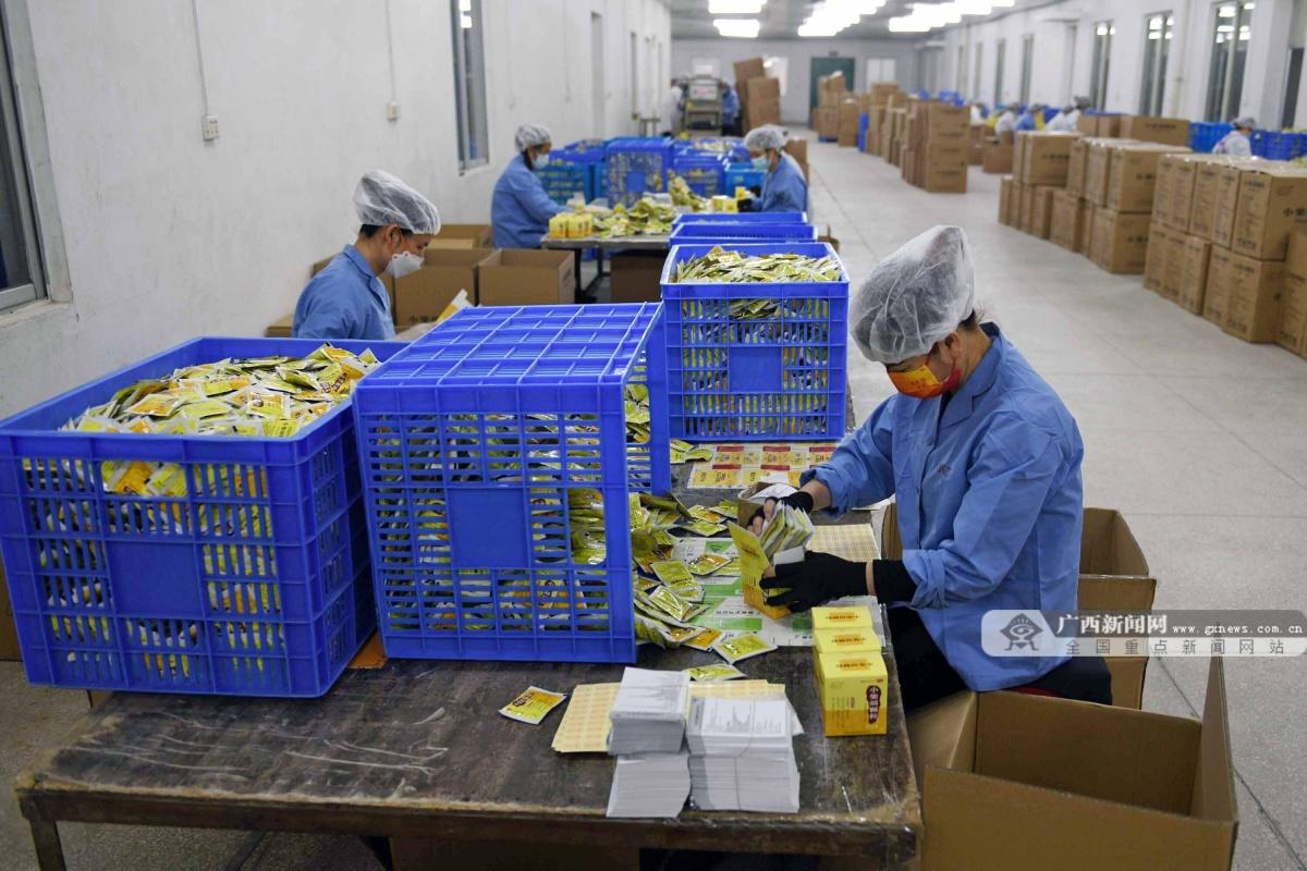 合浦工業(yè)園最新招工熱潮，高科技產(chǎn)品引領(lǐng)，生活與科技的完美融合體驗(yàn)