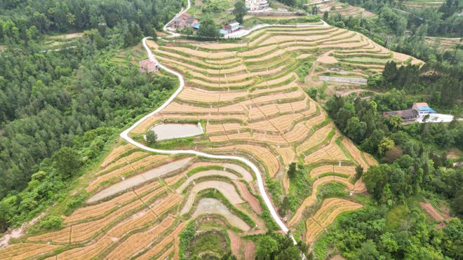 通川區(qū)碑廟鎮(zhèn)最新動態(tài)報道,最新消息匯總