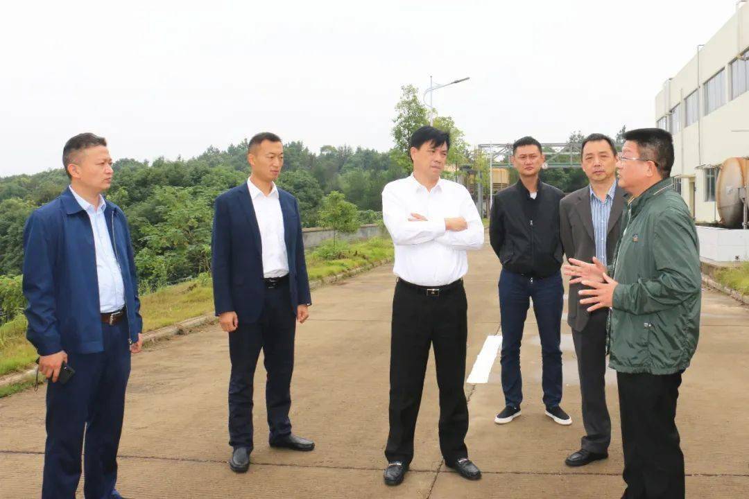 岳陽王小中最新動態(tài)更新??