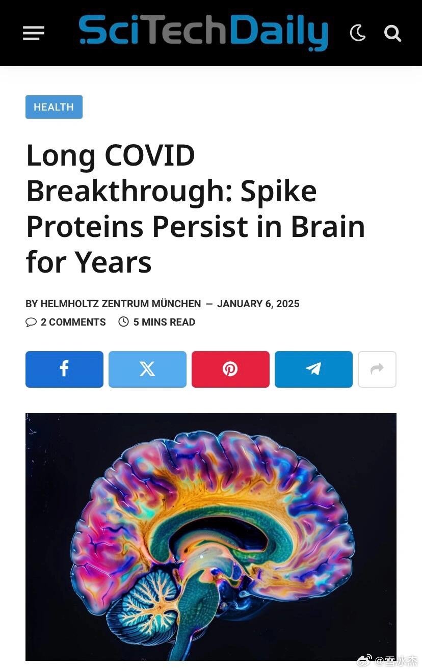 超越傳統(tǒng)認(rèn)知，最新大腦革新觀點(diǎn)揭秘