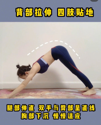 最新背法，高效記憶新時(shí)代引領(lǐng)之路