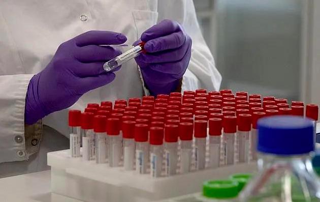 最新感染報(bào)告及其編寫(xiě)步驟指南