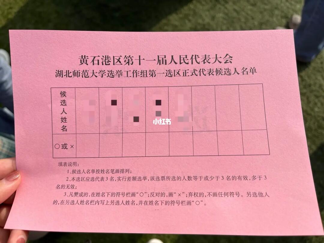 最新選票結果及其深度分析
