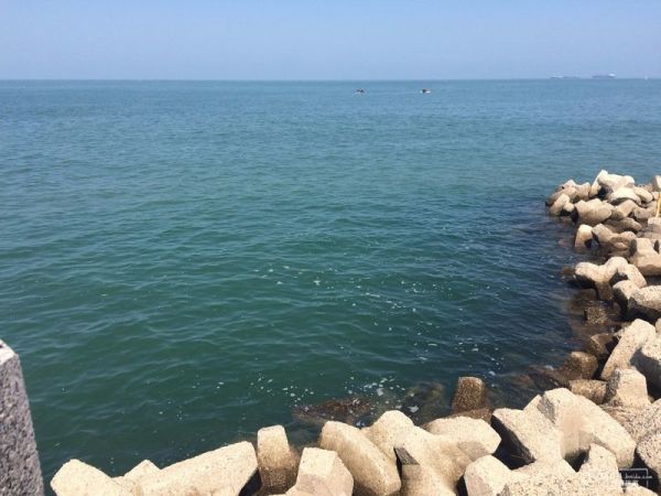 揭秘長島最新價格動態(tài)！